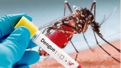 Dengue Fever Outbreak in Ghana